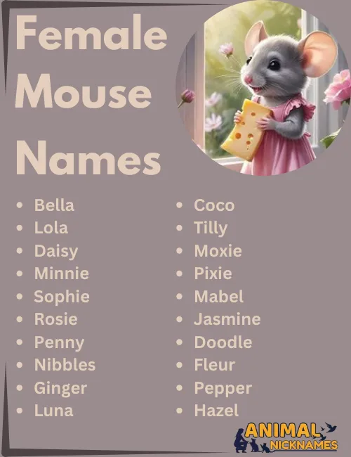 Top 400+ Cute & Funny Mouse Names [Best Ideas]