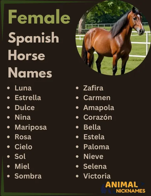 Female Spanish Horse Names