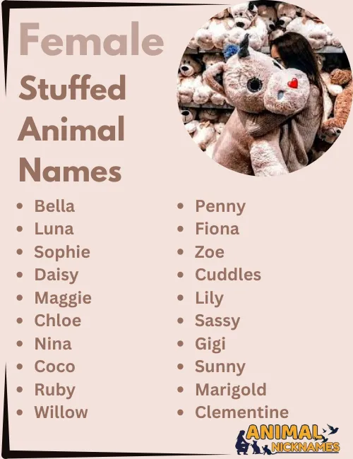 Female Stuffed Animal Names