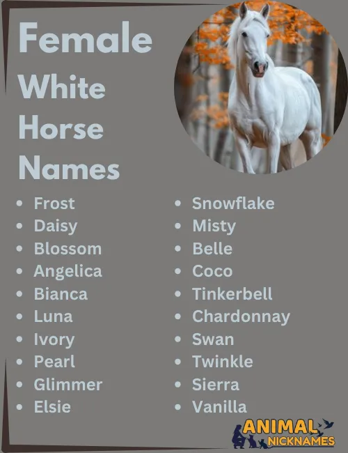 Female White Horse Names