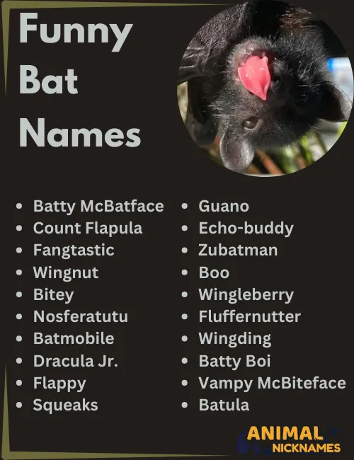 Funny Bat Names