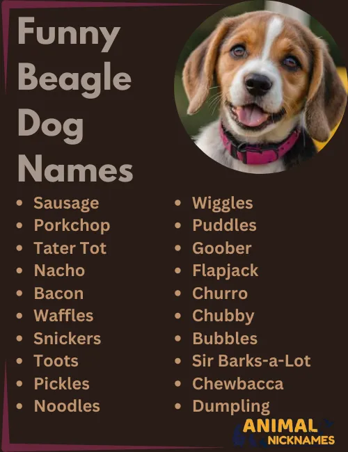 Funny Beagle Dog Names