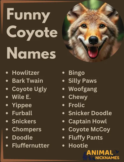 Funny Coyote Names