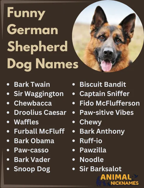 Funny German Shepherd Names