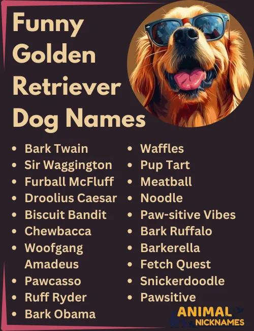 Funny Golden Retriever Dog Names