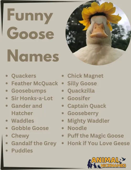 Funny Goose Names