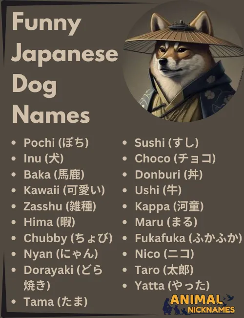 Funny Japanese Dog Names