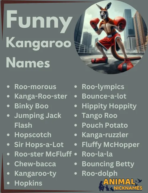 Funny Kangaroo Names