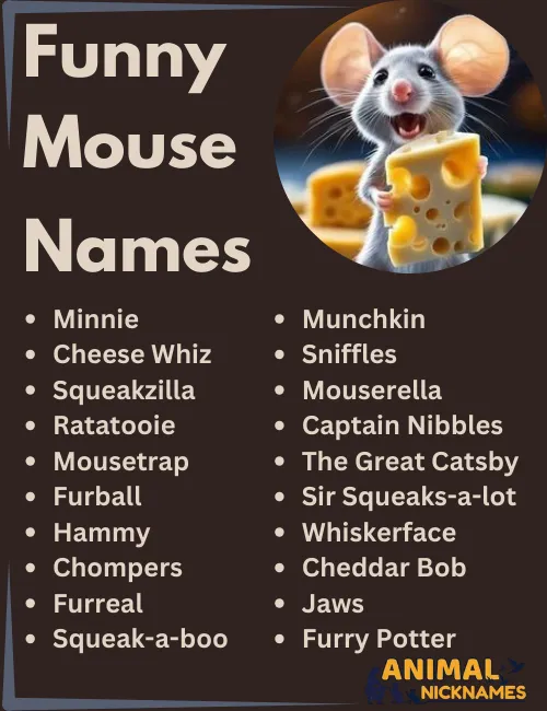 Funny Mouse Names