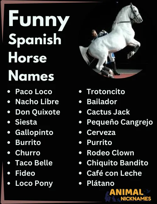 Funny Spanish Horse Names