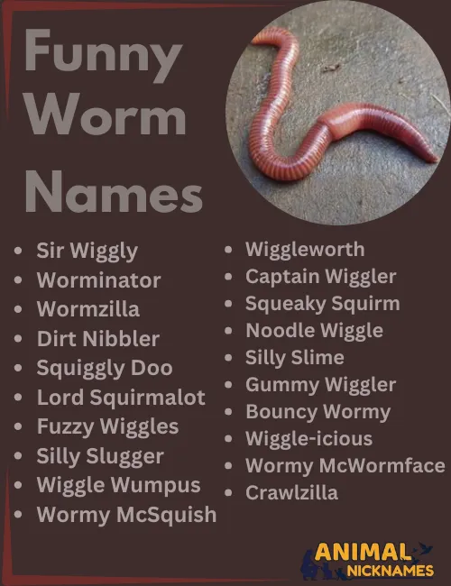 Funny Worm Names