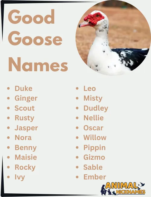 Good Goose Names