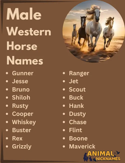 Male Western Horse Names