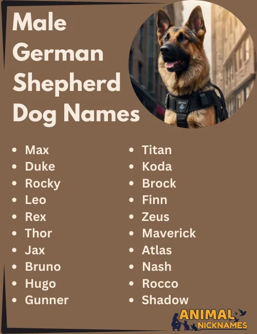 Male German Shepherd Names