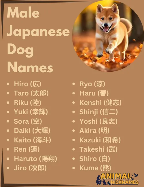 Male Japanese Dog Names