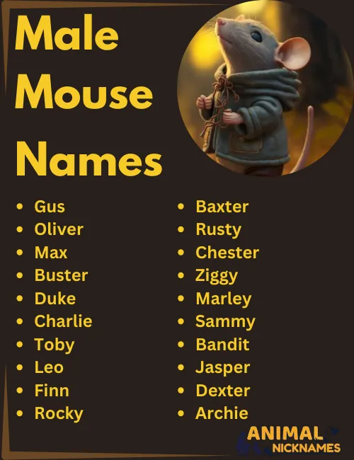 Male Mouse Names