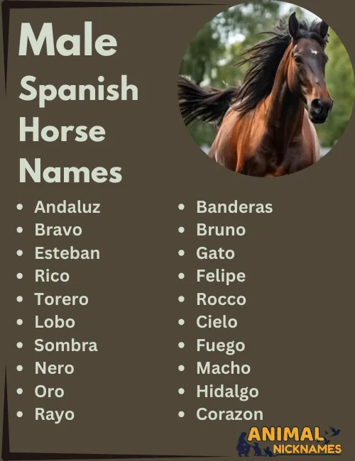 Male Spanish Horse Names