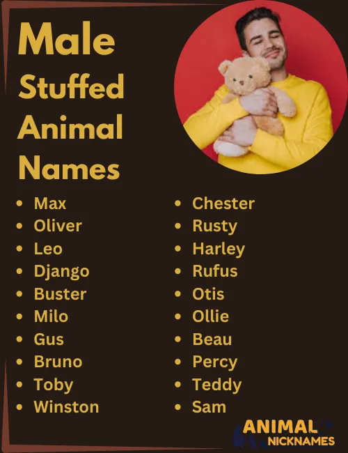 Male Stuffed Animal Names