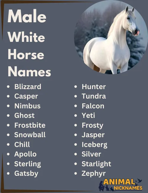 Male White Horse Names