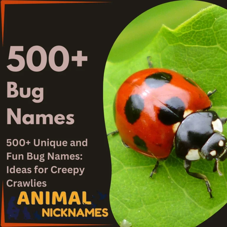 Select 500+ Unique and Fun Bug Names Ideas for Creepy Crawlies