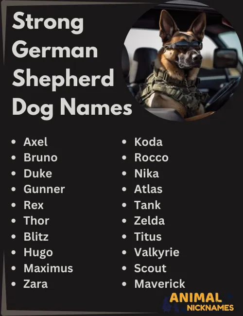 Strong German Shepherd Names