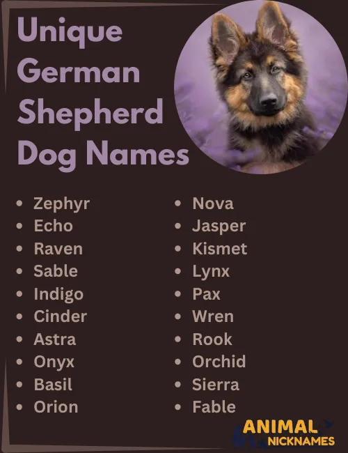 Unique German Shepherd Names