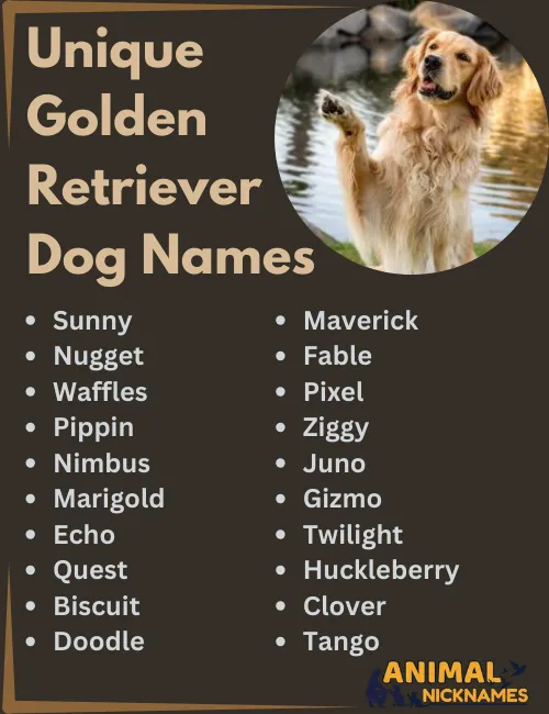 Unique Golden Retriever Dog Names