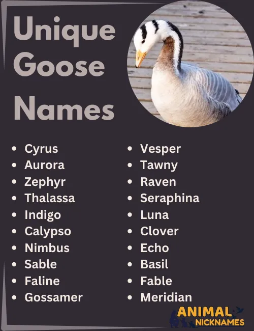 Unique Goose Names