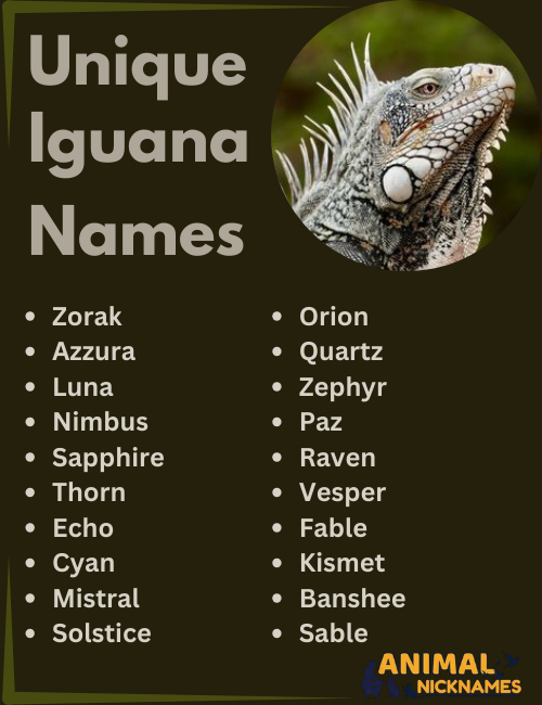 Unique Iguana Names