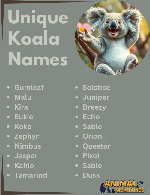 Unique Koala Names