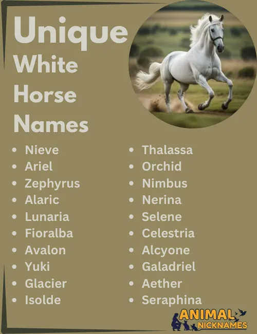 Unique White Horse Names