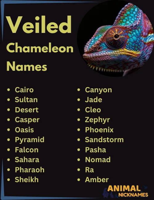 Veiled Chameleon Names