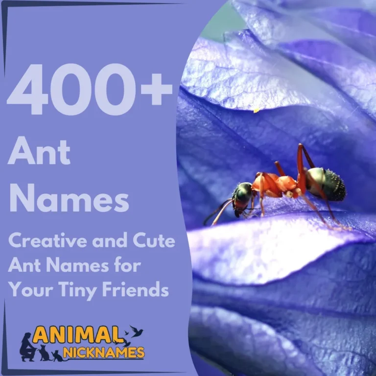 400+ Creative and Cute Ant Names for Your Tiny Friends