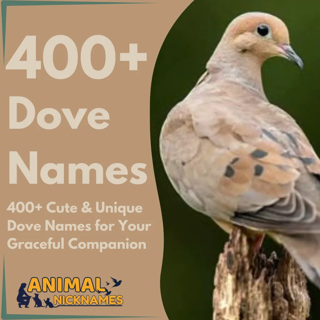 400+ Cute & Unique Dove Names for Your Graceful Companion