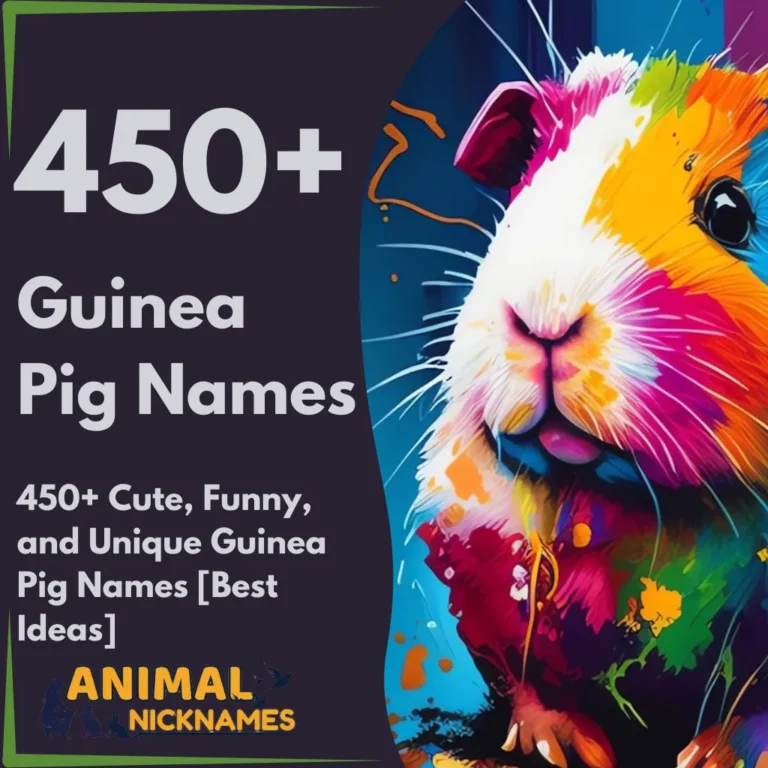 450+ Cute, Funny, and Unique Guinea Pig Names [Best Ideas]