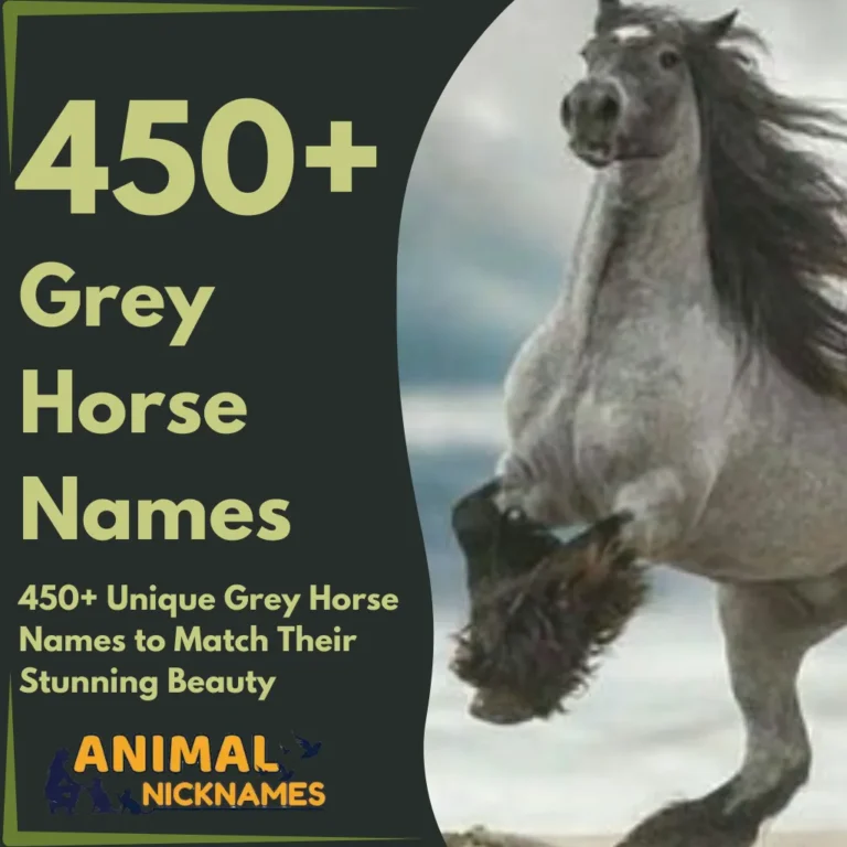 450+ Unique Grey Horse Names to Match Their Stunning Beauty