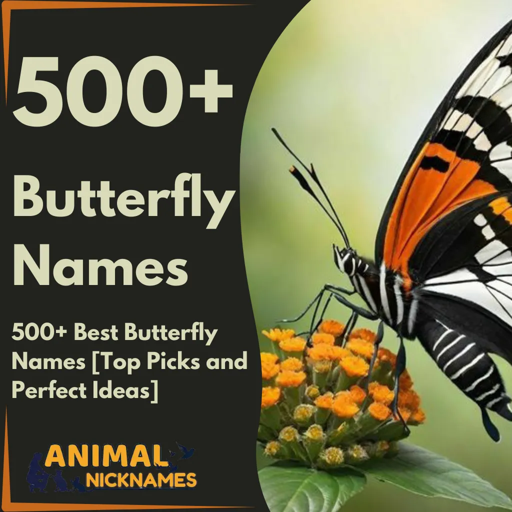 500+ Best Butterfly Names [Top Picks and Perfect Ideas]