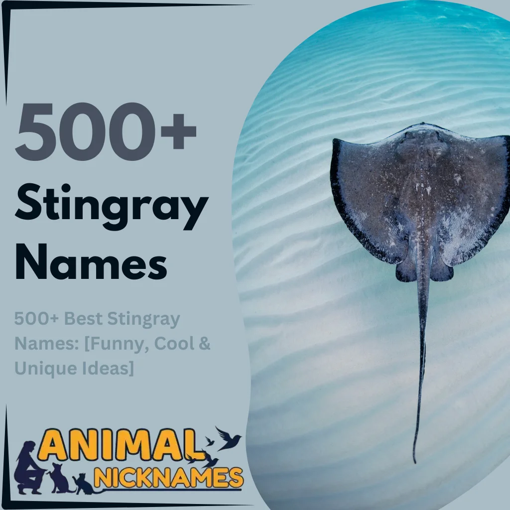 500+ Funny, Cool & Unique Stingray Names with Generator