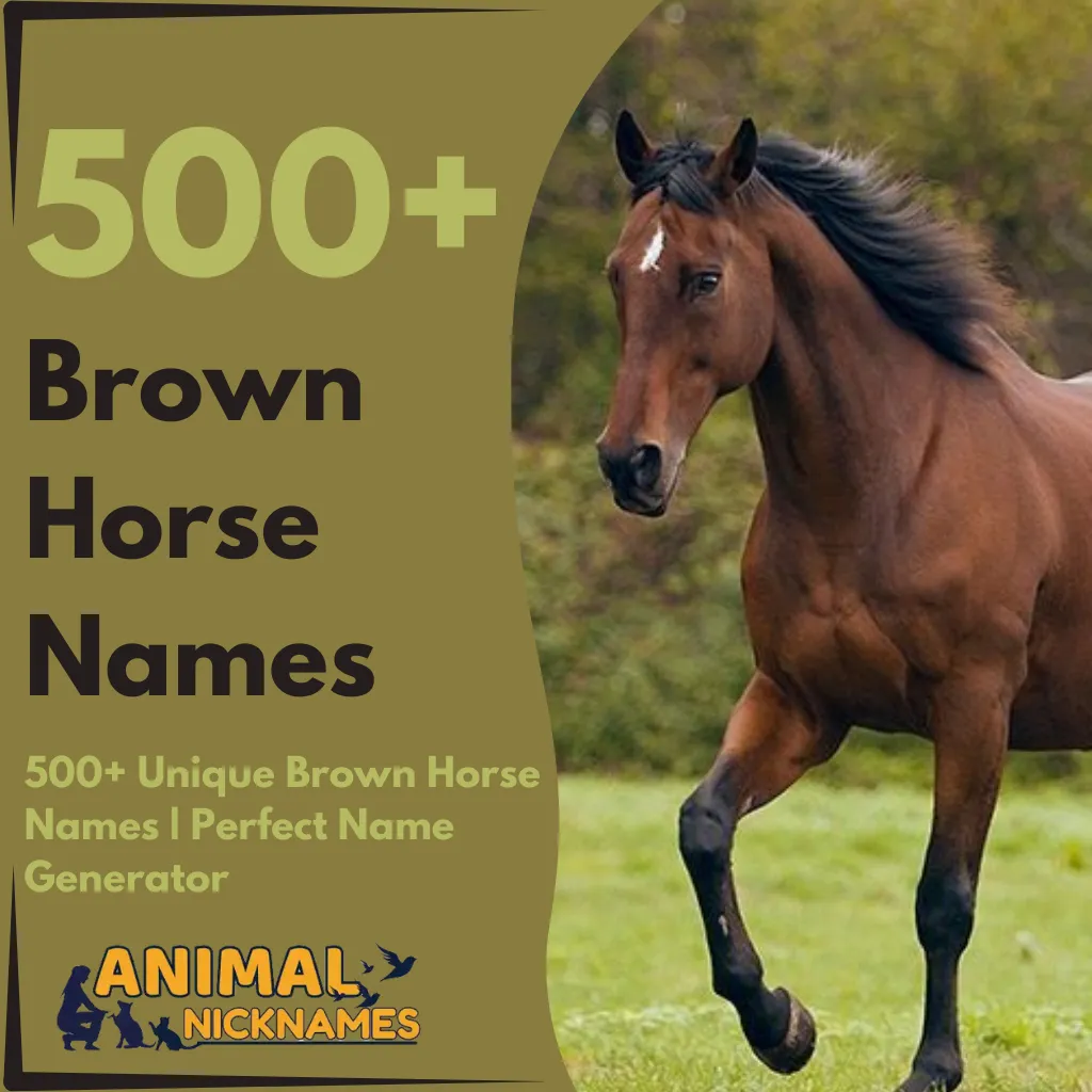 500+ Unique Brown Horse Names Perfect Name Generator