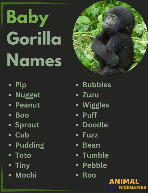 Baby Gorilla Names