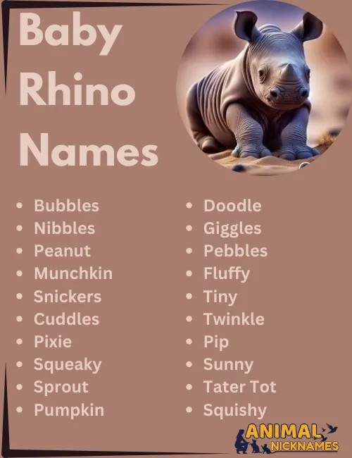 Baby Rhino Names