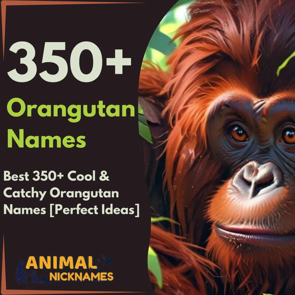 Best 350+ Cool & Catchy Orangutan Names [Perfect Ideas]