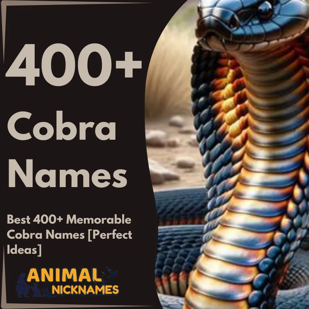 Best 400+ Memorable Cobra Names [Perfect Ideas]