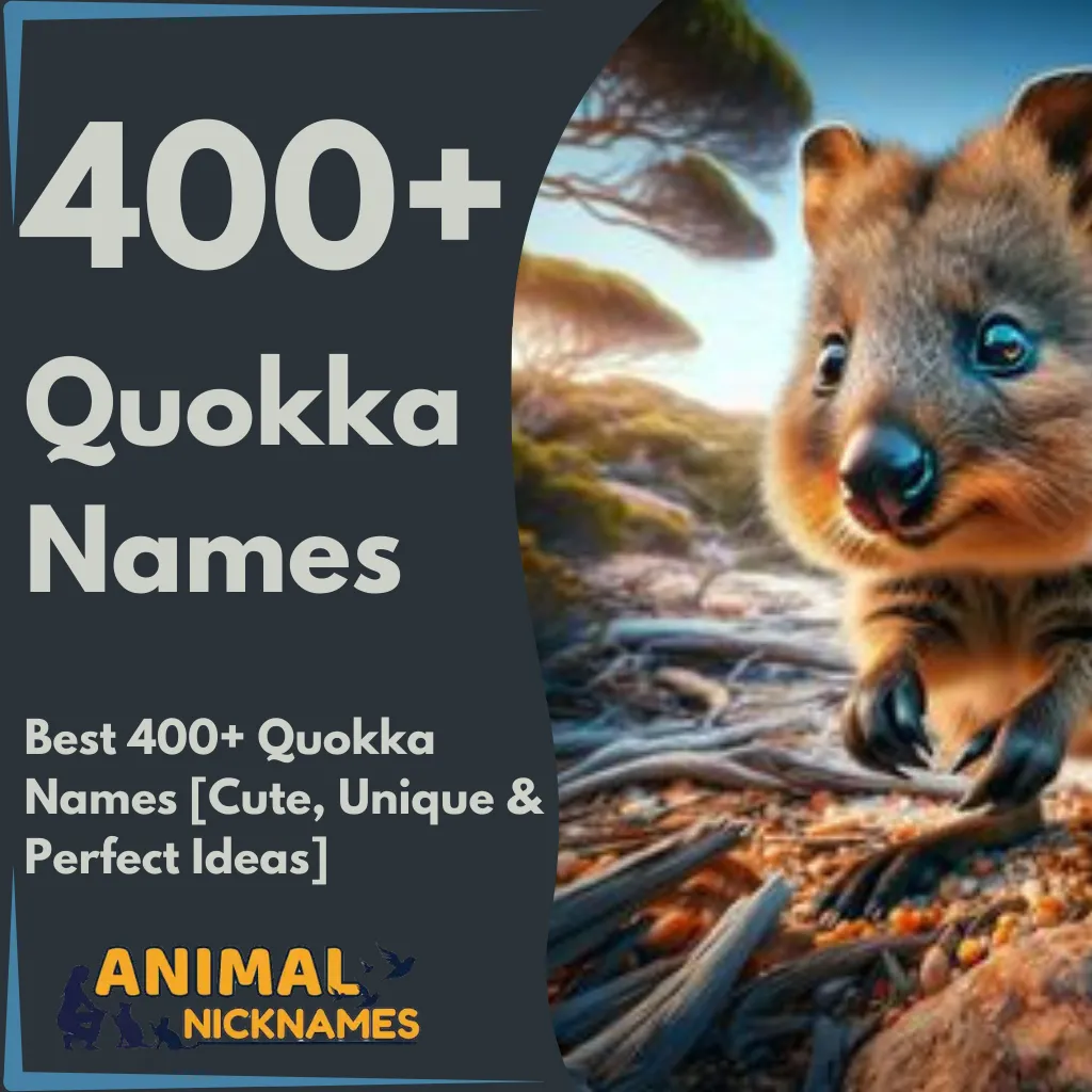 Best 400+ Quokka Names [Cute, Unique & Perfect Ideas]