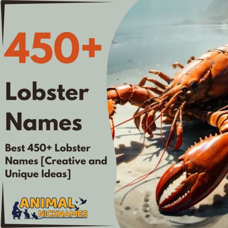 Best 450+ Lobster Names [Creative and Unique Ideas]