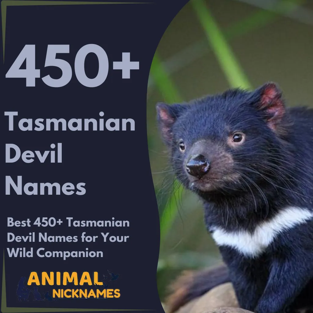 Best 450+ Tasmanian Devil Names for Your Wild Companion