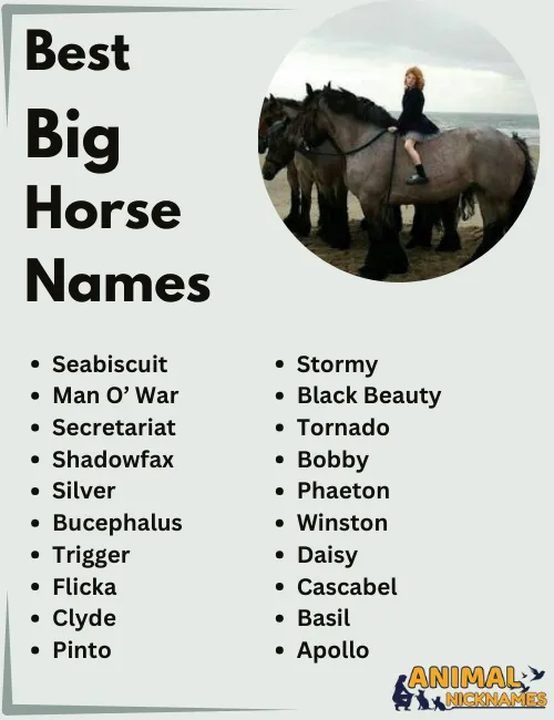 Best Big Horse Names