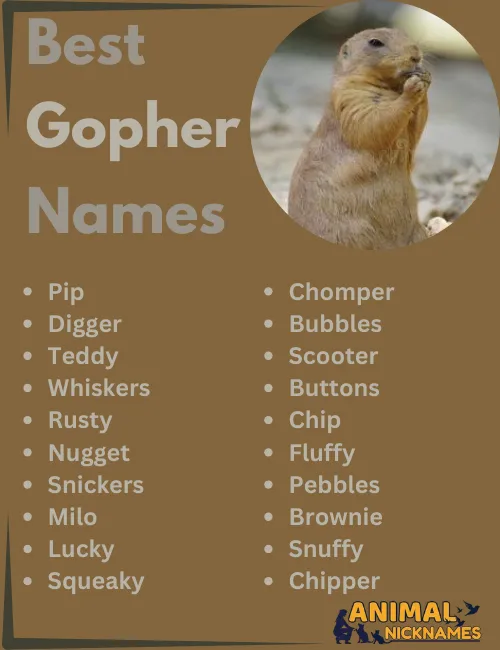 Best Gopher Names