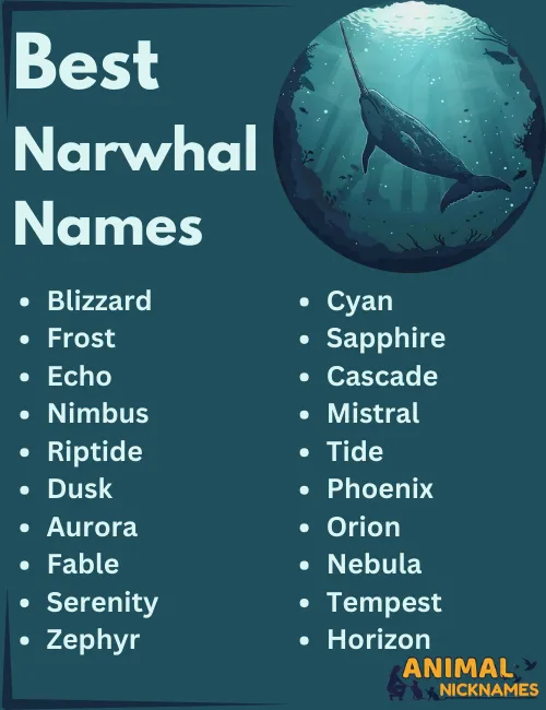 Best Narwhal Names