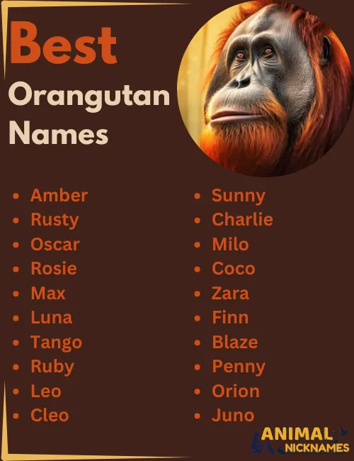 Best Orangutan Names